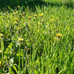 Charkiw, Frühling im Krieg