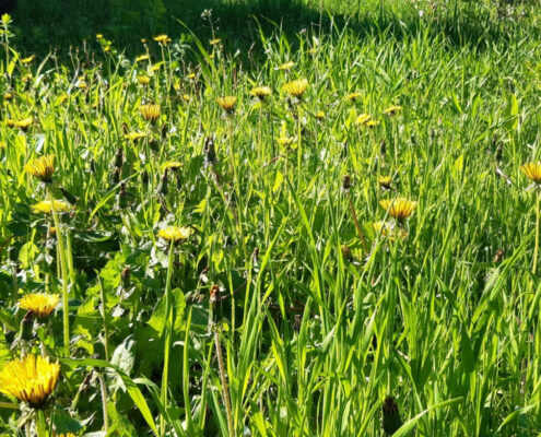 Charkiw, Frühling im Krieg
